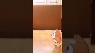 Bingo Dance blueypup