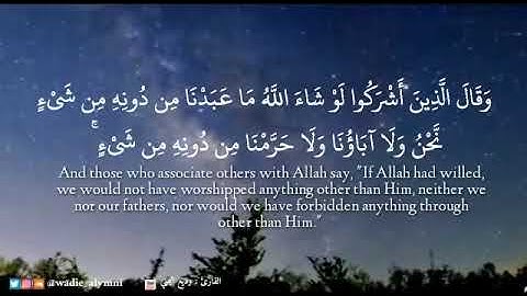 ﴿ وَقِيلَ لِلَّذِينَ اتَّقَوْا مَاذَا أَنزَلَ رَبُّكُمْ ﴾ تلاوة بديعة قمة في الجمال   وديع اليمني