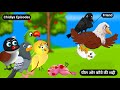     zalim cheel cartoontuni chidiya kahanihindi cartoontuni chidiya stories tv