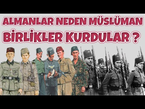 Video: Tümen tarixi