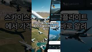 &quot;2025 여름 항공권, 반값에 예약하는 꿀팁 5가지&quot;