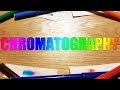 Chromatography Quiz