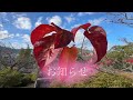【お知らせ】今後のチャンネル(動画)作りについて。