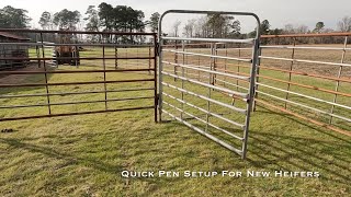 Building A Temporary Heifer Pen