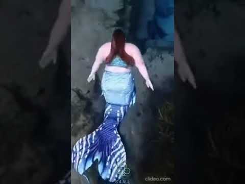 هل فعلا توجد عروسة البحر