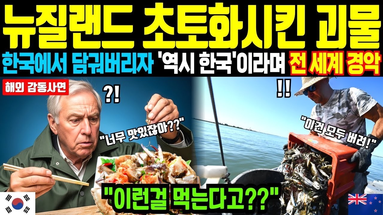 뉴질랜드를 초토화시킨 괴물 한국은 간장 한 통으로 해결하자 전세계 경악  해외감동사연  오디오북
