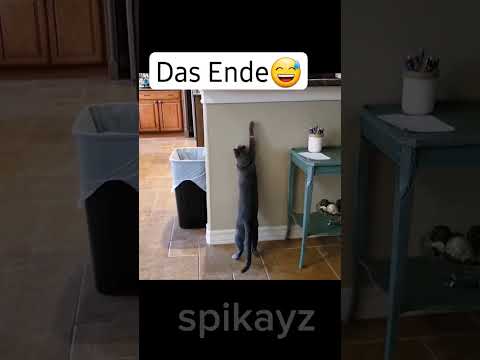 Das Ende😂 #lustig #funny #funnycartoon #fail #humour #funnycomedy #tiere #animals