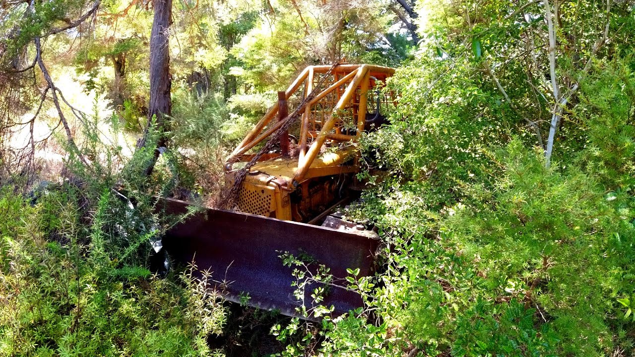 Бульдозер Cat D2 сломался в лесу 13 лет назад. Можно ли его спасти?