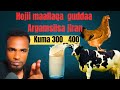 Hojii Yeroo Kana Galii Gaari Argamsiisa Jiran Kuma 300 400tin