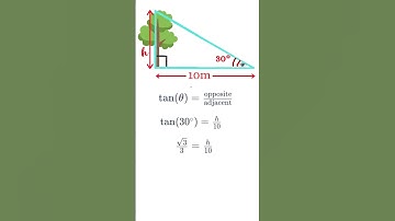 Measure Tree Height with Trigonometry