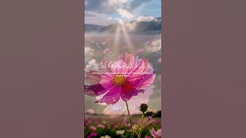 قران كريم ارح قلبك وسمعك #قران_في_دقيقة #محمد_اللحيدان #quran @قران_في_دقيقة