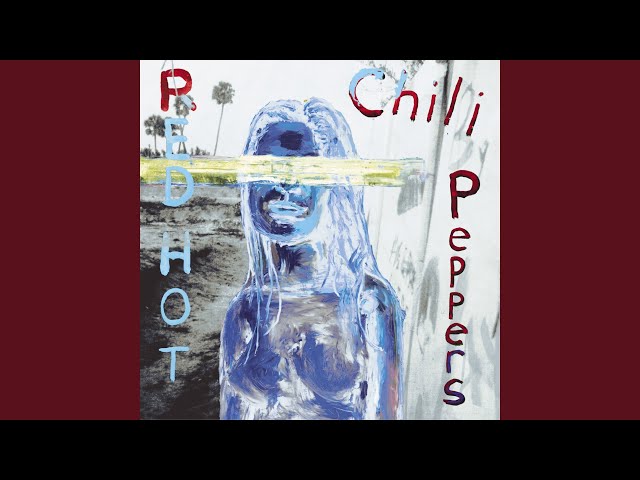 The Red Hot Chili Peppers - I Could Die for You