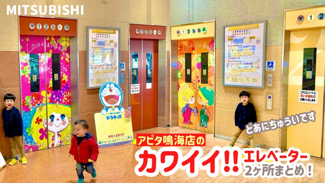 【434日目】アピタ鳴海店のエレベーター（2ヶ所まとめ）（三菱製）