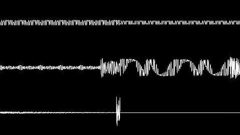 Apidya - Meadows Edge 2 (Sega Genesis Cover)