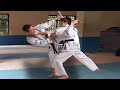 Taekwondo Sparring Matches and Practice on TKD Action