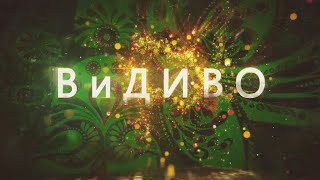 #ВиДИВО 1 Василь Яремин - забавкар