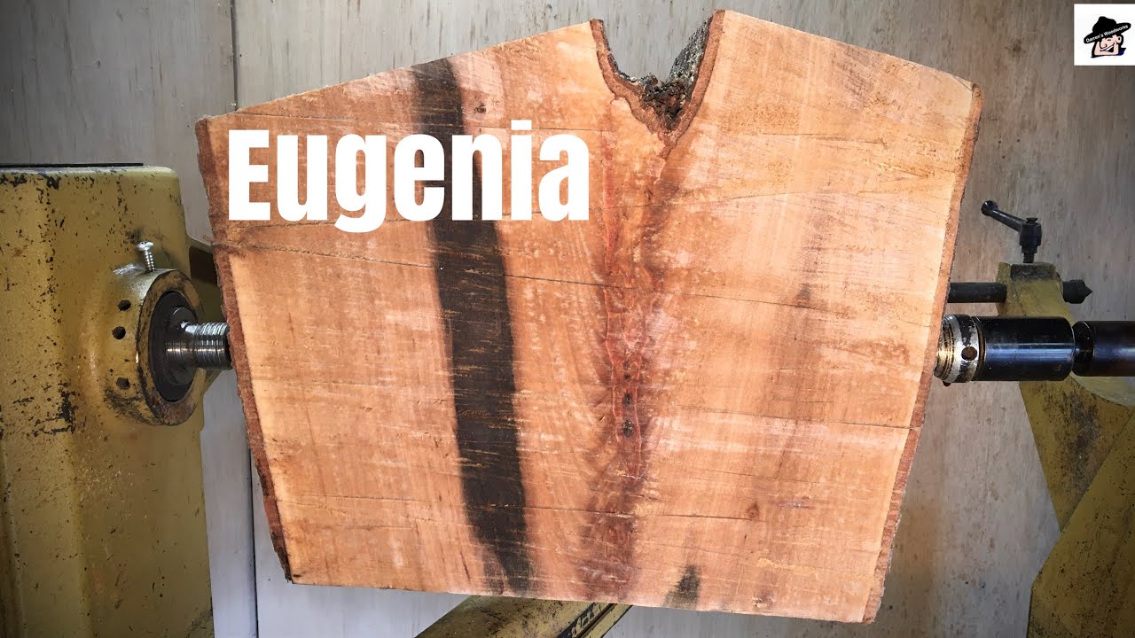 Woodturning-Eugenia crotch Bowl