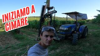 INIZIAMO A CIMARE..  CRESCONO TANTISSIMO!! COL NEW HOLLAND4040