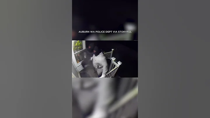 Wild videos shows homeowner shooting at 3 suspected intruders