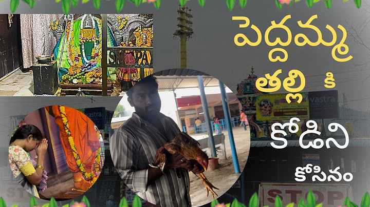పెద్దమ్మ తల్లికి కోడిని కోసినం 🙏🙏| Temple vlog | peddamma thalli | Ammuvlogs