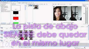 Sony Vegas - Gradient Map Effect.