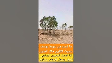 #سورة_يوسف #قرآن #آيات #تلاوة_هادئة  #explore #اكسبلور #تلاوة_خاشعة #في #القرآن_الكريم  #music #تيك