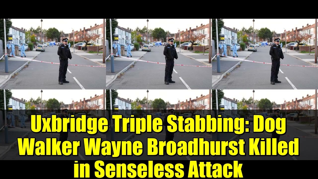 Uxbridge Triple Stabbing: Dog Walker Wayne Broadhurst Killed in Senseless Attack | Full Story