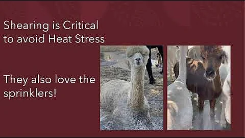 Fibershed Symposium 21