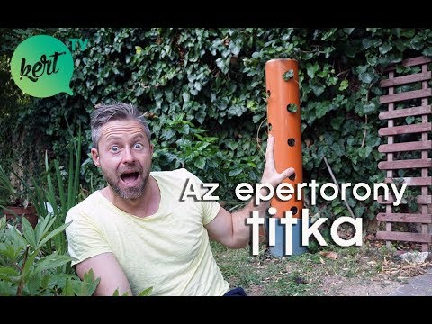 Videó: Mi az eperbokor: Euonymus eperbokor gondozása