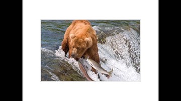 React.js Conf 2015 - Refracting React