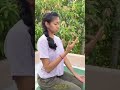 അനുലോമ വിലോമ പ്രാണായാമം പരിശീലിക്കു ശ്വാസ തടസ്സത്തിന് പരിഹാരം കാണു..