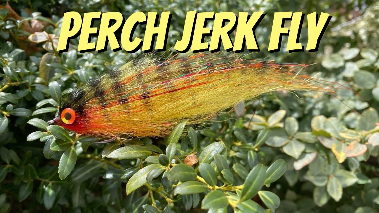 Fly Tying Tutorial | Perch Pattern Streamer - YouTube