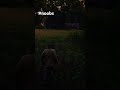 #gaming #murfreebroods #rdr2 #justice #freecountry #phonk