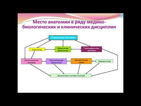 Предмет и содержание анатомии. Ее место в ряду биологических дисциплин. Значение анатомии.#анатомия