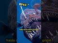 Existen de Verdad: Los Monstruos Más Aterradores del Océano 🌊👀 #seamonsters #oceanmystery