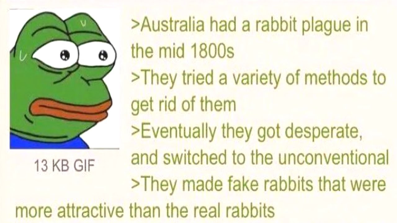 Australia had a rabbit plague in the mid 1800s A Greentext Story