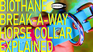 Biothane Breakaway Horse Collars Explained