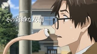 アニメ 寄生獣 セイの格率 特別映像 Parasyte The Maxim Japanese Anime Youtube