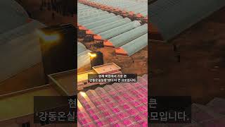 [줌인 북한] 기존 온실농장도 미가동인데… 신의주에 또?