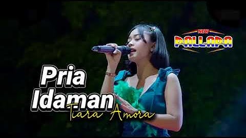 PRIA IDAMAN Tiara Amora // NEW PALLAPA Wringinanom Gresik #ramayanaaudio