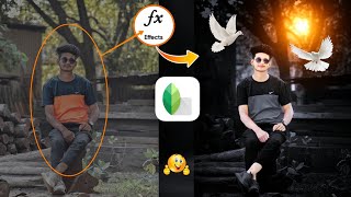 Snapseed Dark Black And Bird Effect Photo Editing Trick | Snapseed Background Colour Change Tutorial screenshot 2