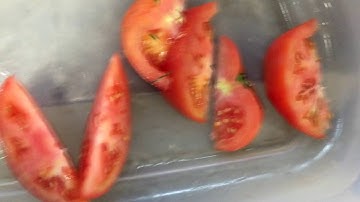 Turatti WEDGE CUTTER video demo, Y3099