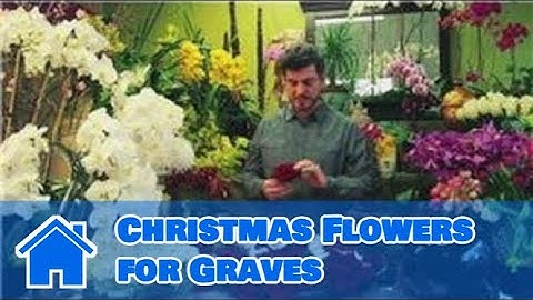 Flower Arrangements : Christmas Flowers for Graves