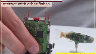 Scientists develop robot fish to interact with other fishes screenshot 2
