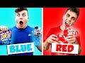 Eating one color food for 24 hours blue vs red