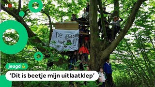 Gemeente wil boomhut van kinderen slopen