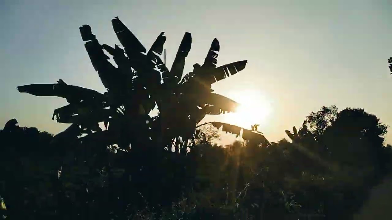 ၂၀၂၆၊ ဖေဖော်ဝါရီ ၁၅