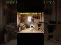 #猫meme #搞笑 #表情包 #貓meme #貓貓最可愛