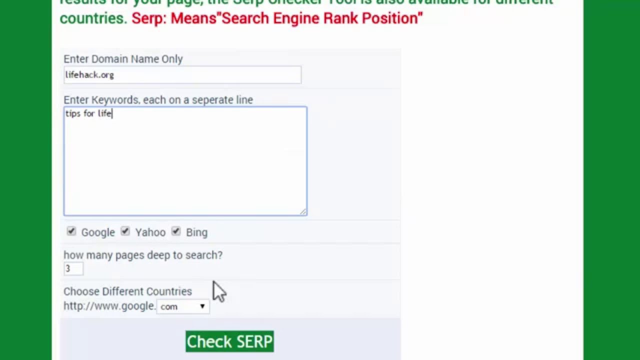 bing serp checker