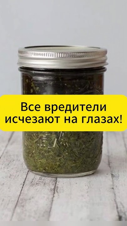 Лучшее средство от всех вредителей на участке. #огород #сад #дача # ...
